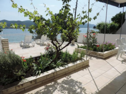 Apartmani Perica Viganj (Poluotok Pelješac)