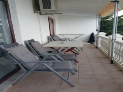 Apartmany Villa Palma Ribarica Cesarica