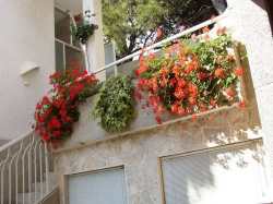 Apartmany Mimosa Vodice