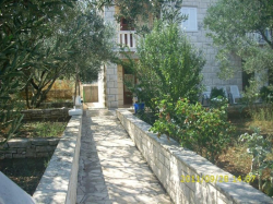 Apartments MAK Kneza (Island Korcula)