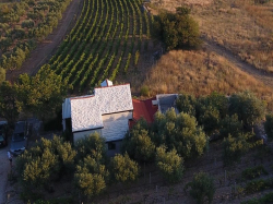 Kuća za odmor Ana Bol (Otok Brač)